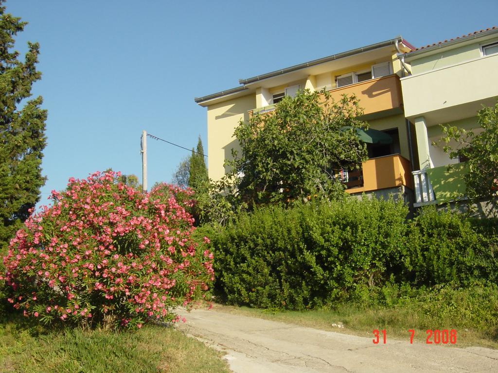Apartments Prahovic Ždrelac Kültér fotó
