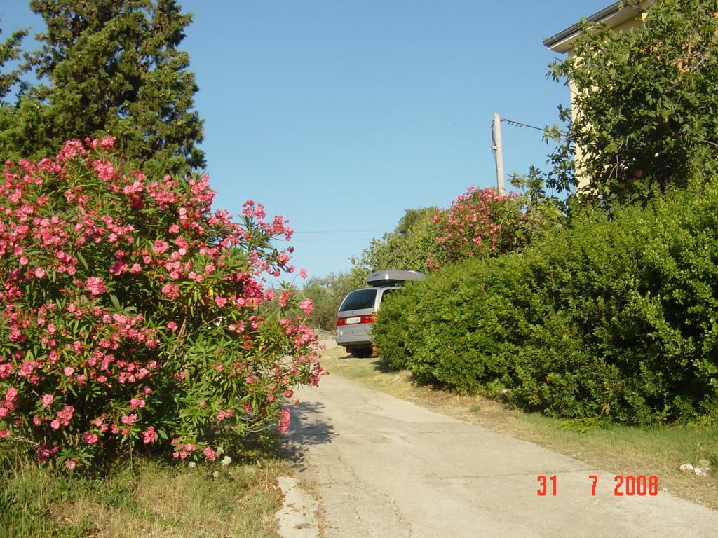 Apartments Prahovic Ždrelac Kültér fotó